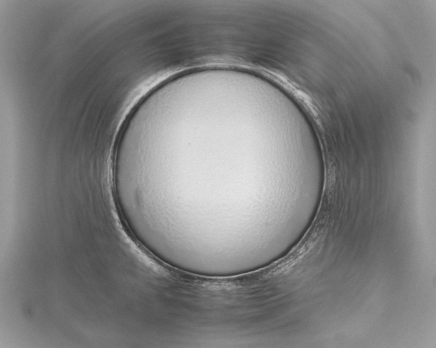 X0000115761239200912041404