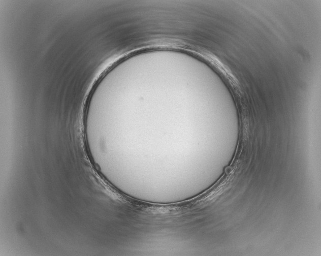 X0000115761240200912041404