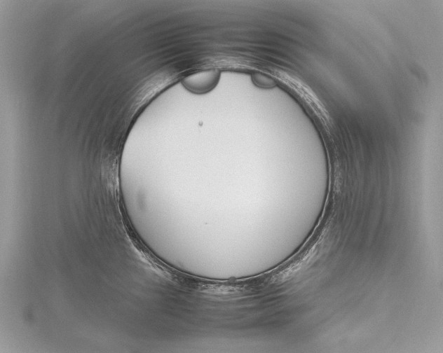 X0000115761241200912041404