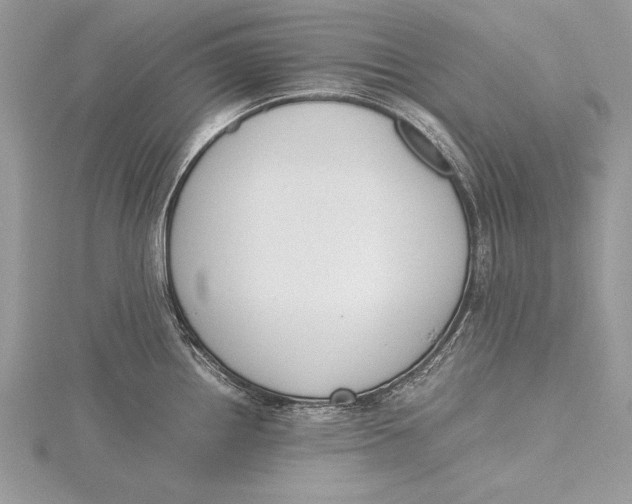 X0000115761242200912041404