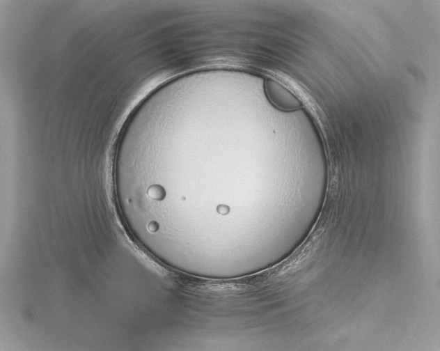 X0000115761243200912041404