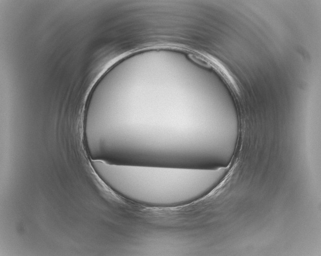 X0000115761244200912041404