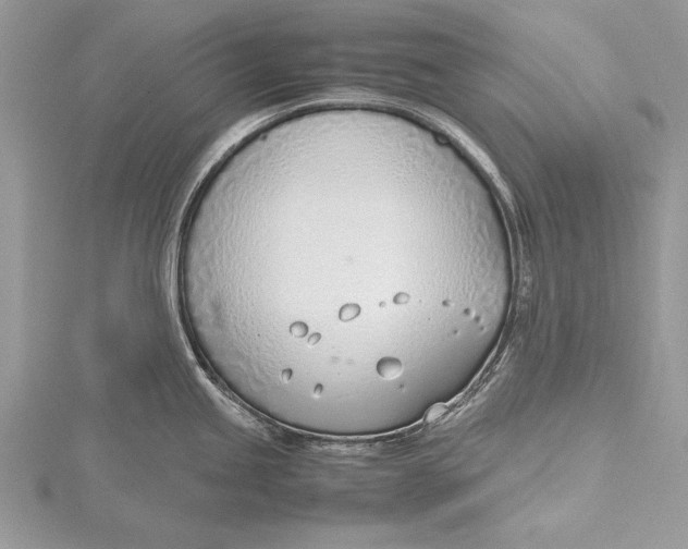 X0000115761245200912041404