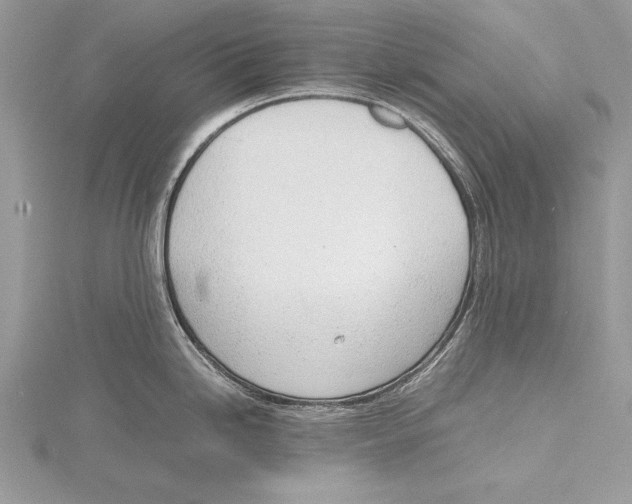 X0000115761246200912041404