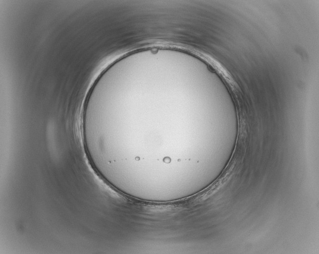 X0000115761247200912041404