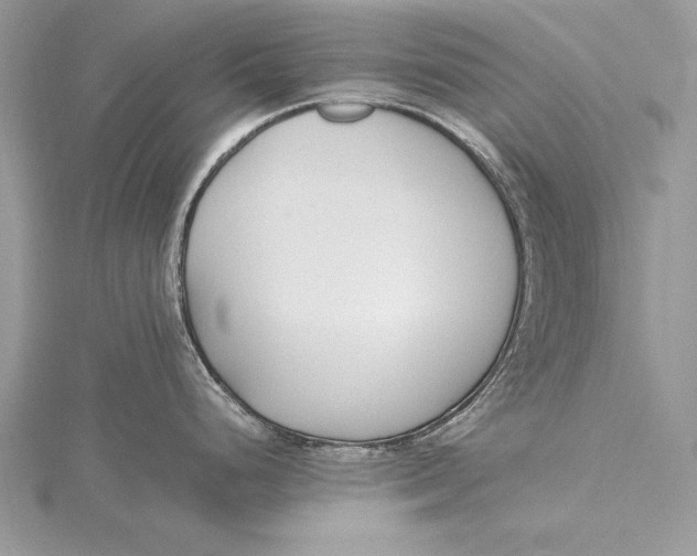 X0000115761248200912041404