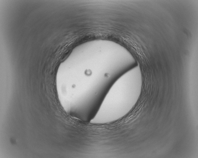 X0000115761249200912041403