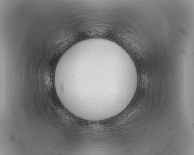 X0000115761250200912041403