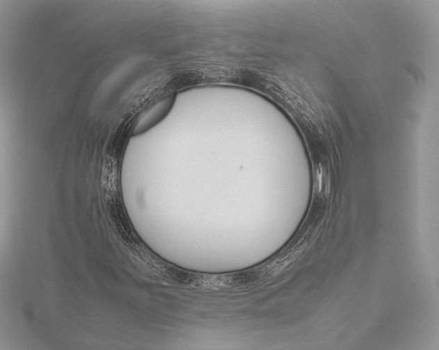 X0000115761251200912041403