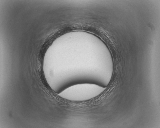 X0000115761253200912041403