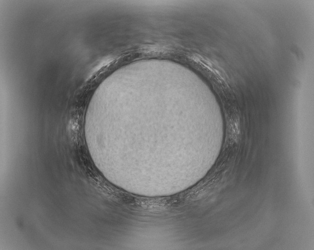 X0000115761254200912041403