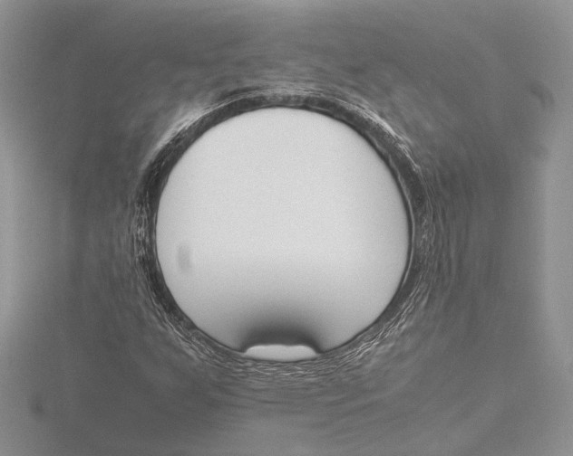 X0000115761255200912041403