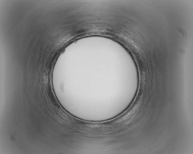 X0000115761257200912041403