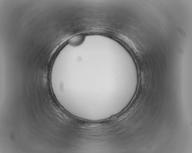 X0000115761260200912041403