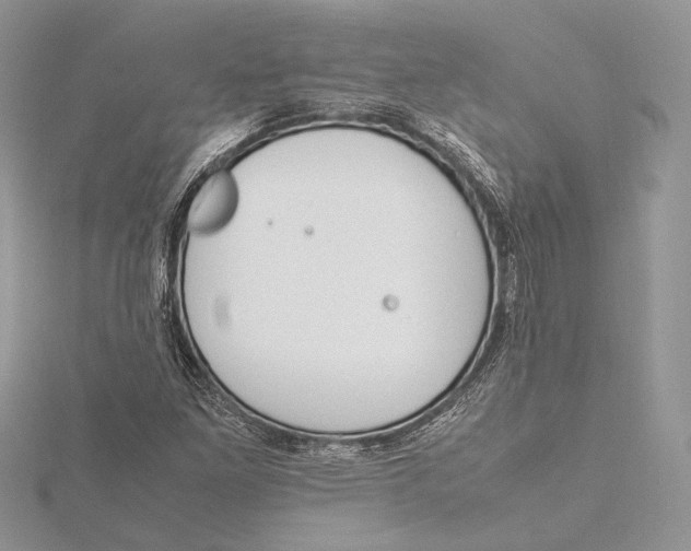 X0000115761261200912041403