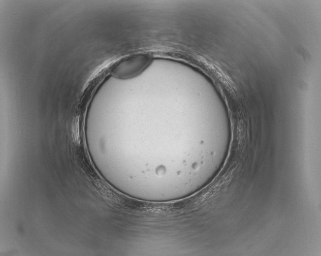 X0000115761262200912041403