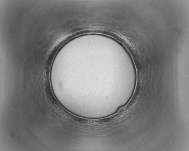 X0000115761263200912041403