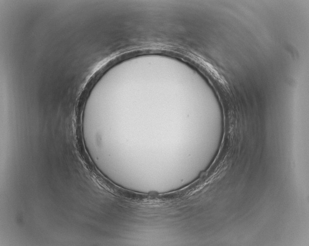 X0000115761264200912041403