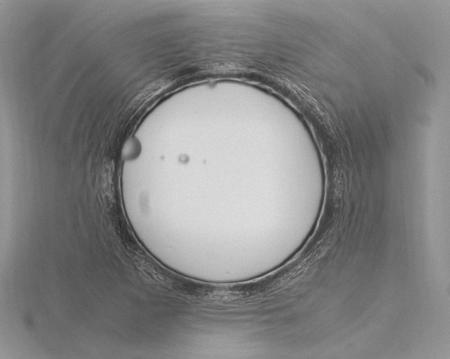 X0000115761265200912041403