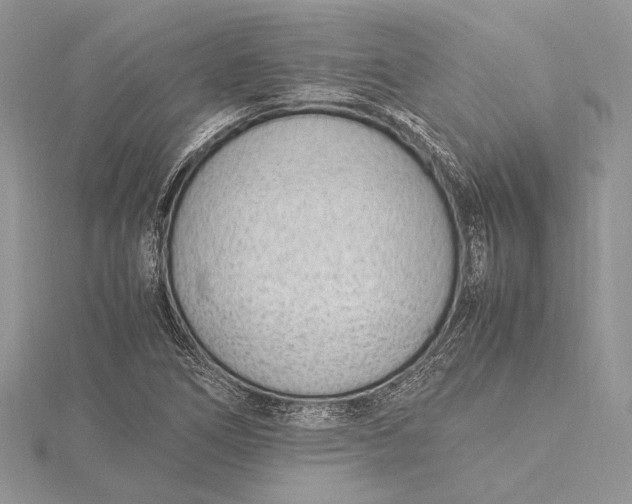 X0000115761266200912041403