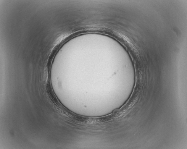 X0000115761267200912041403