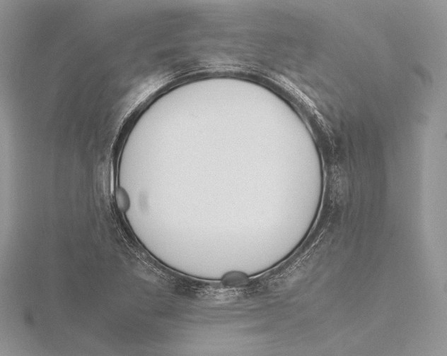 X0000115761269200912041403