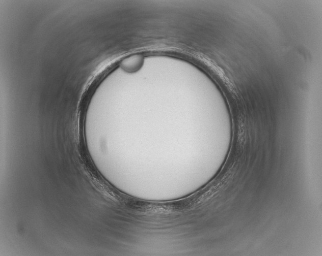 X0000115761270200912041403