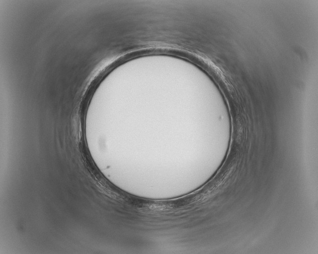 X0000115761271200912041403