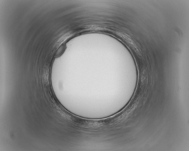 X0000115761273200912041403