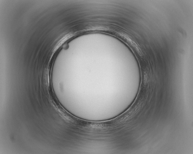 X0000115761274200912041403