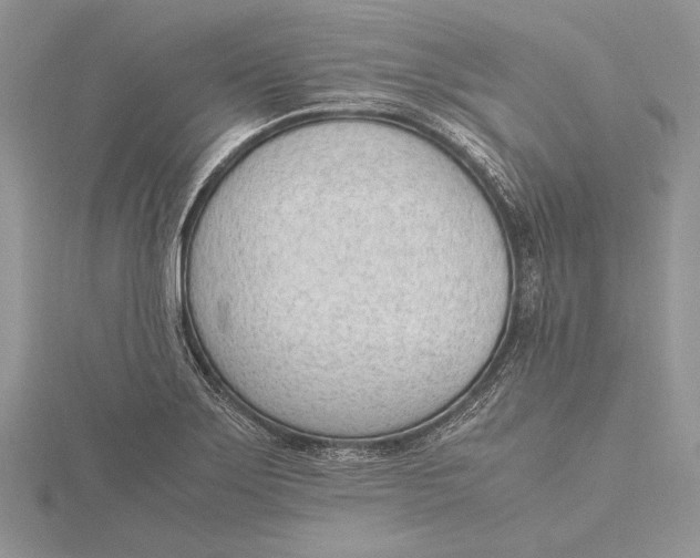 X0000115761275200912041403