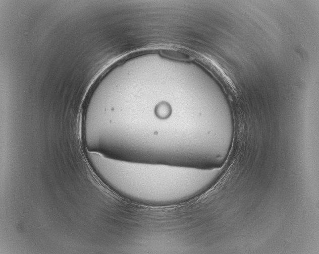 X0000115761276200912041403