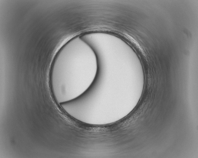 X0000115761277200912041403