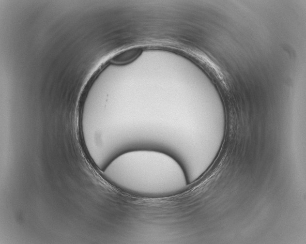 X0000115761280200912041403