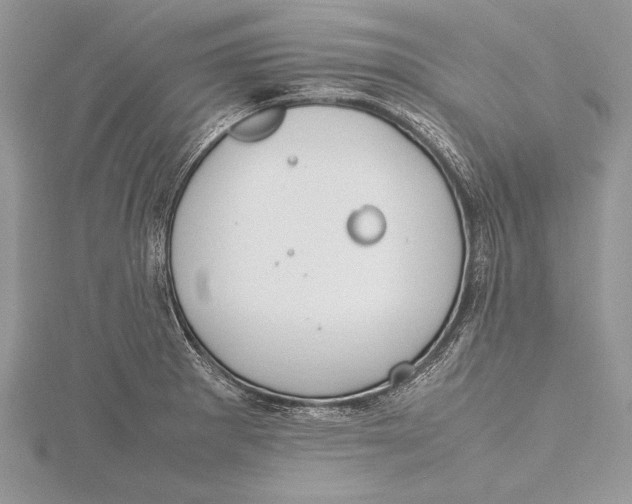 X0000115761281200912041403