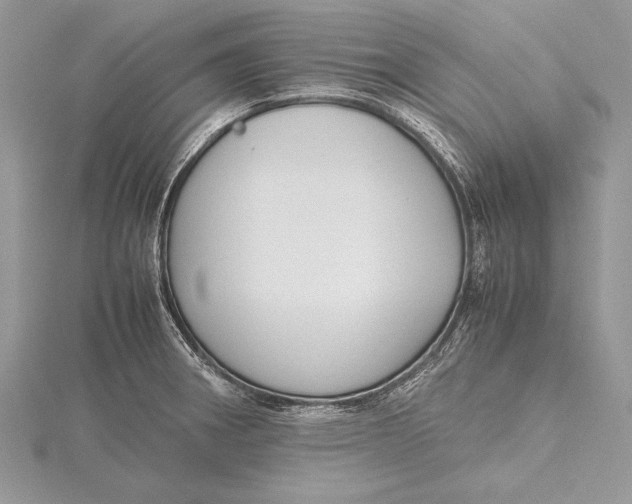 X0000115761282200912041403