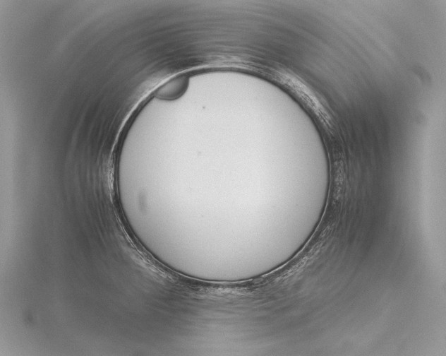 X0000115761284200912041403