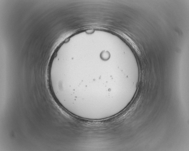 X0000115761285200912041403