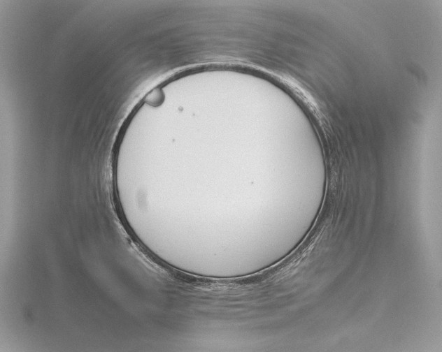 X0000115761287200912041403