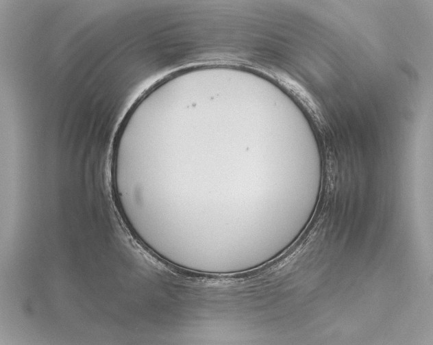 X0000115761288200912041403