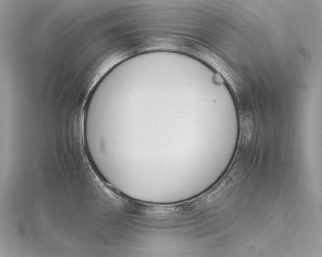 X0000115761290200912041402