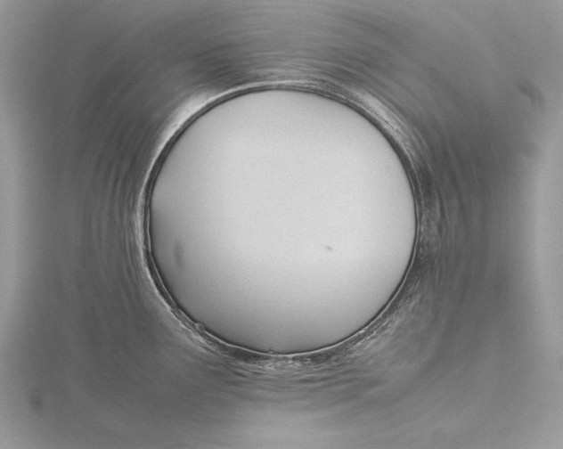 X0000115761291200912041402