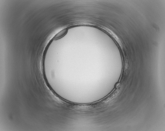 X0000115761293200912041402