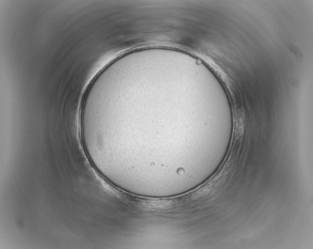 X0000115761294200912041402