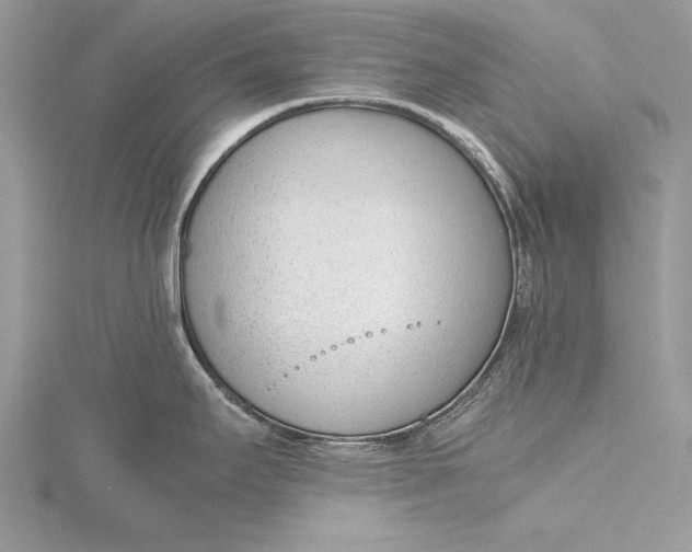 X0000115761295200912041402