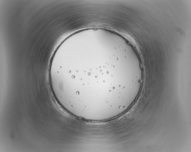 X0000115761296200912041402