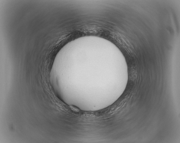 X0000115761297200912041402