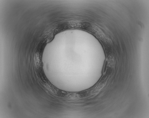 X0000115761298200912041402