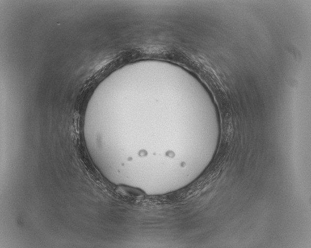 X0000115761301200912041402