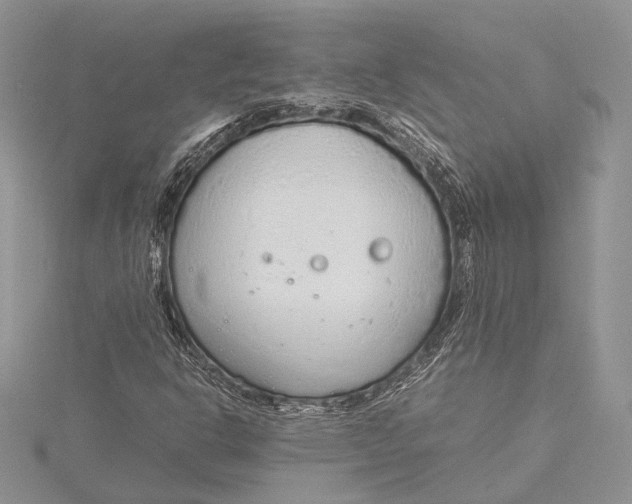 X0000115761302200912041402